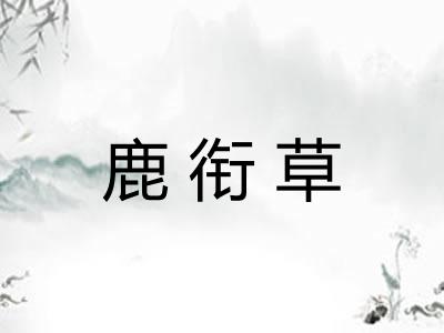 鹿衔草 鹿衔草