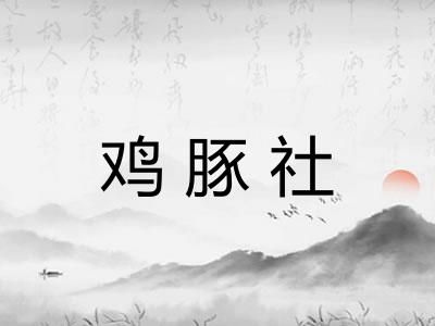 鸡豚社 鸡豚社