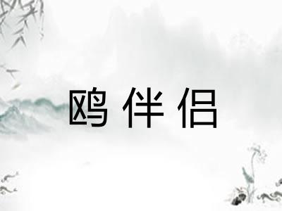 鸥伴侣 鸥伴侣