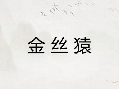 金丝猿