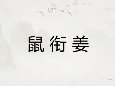 鼠衔姜 鼠衔姜