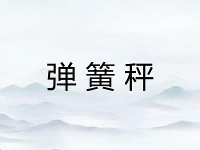 弹簧秤 弹簧秤