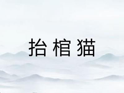 抬棺猫 抬棺猫