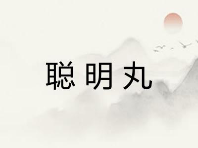 聪明丸 聪明丸