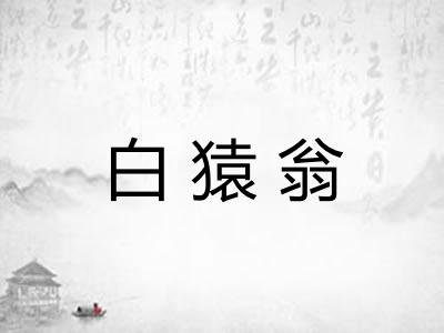 白猿翁 白猿翁