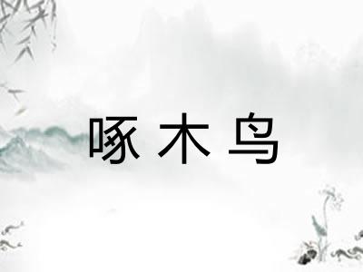 啄木鸟 啄木鸟