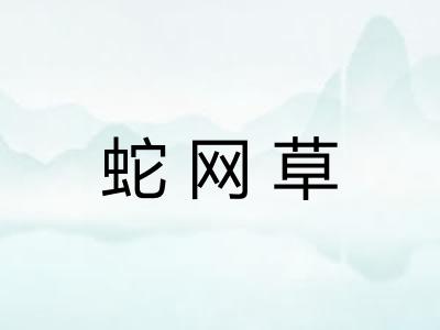 蛇网草