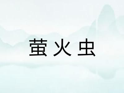 萤火虫 萤火虫