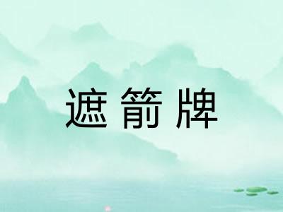 遮箭牌 遮箭牌