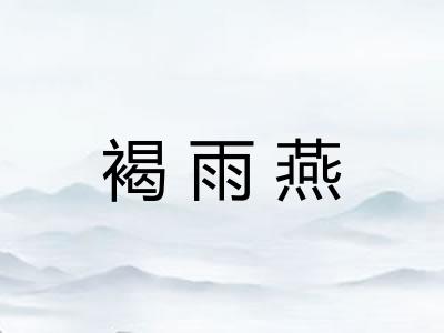 褐雨燕 褐雨燕