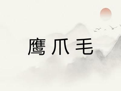 鹰爪毛 鹰爪毛