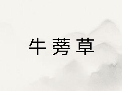 牛蒡草 牛蒡草
