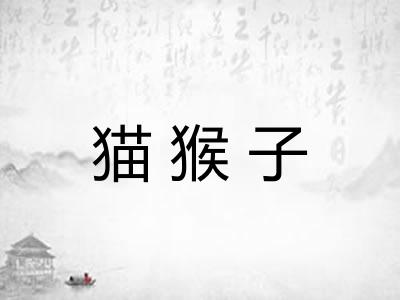 猫猴子 猫猴子