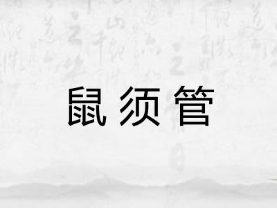 鼠须管