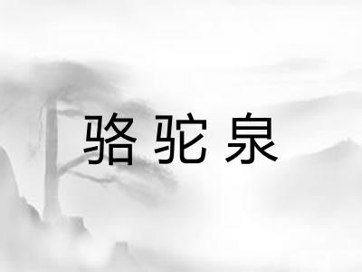 骆驼泉
