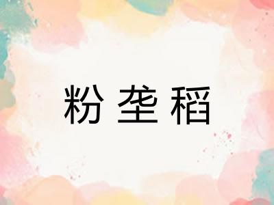 粉垄稻 粉垄稻