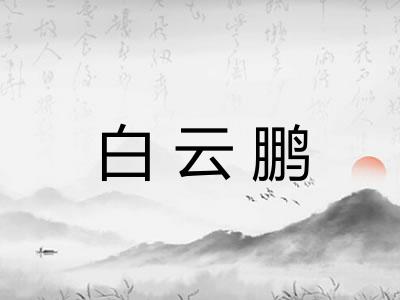 白云鹏 白云鹏