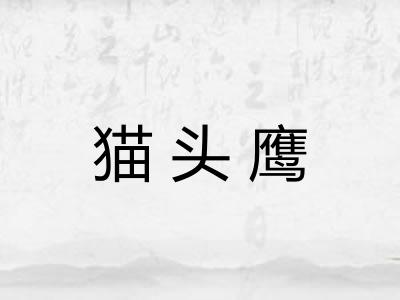 猫头鹰 猫头鹰