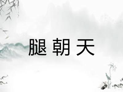 腿朝天 腿朝天