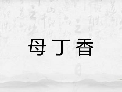 母丁香 母丁香