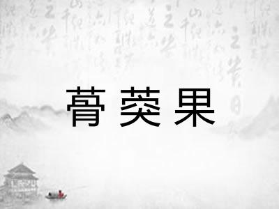 蓇葖果 蓇葖果