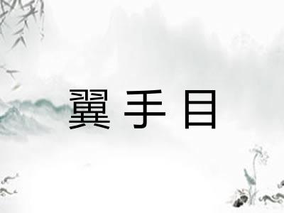 翼手目 翼手目