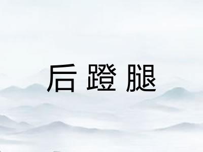 后蹬腿 后蹬腿