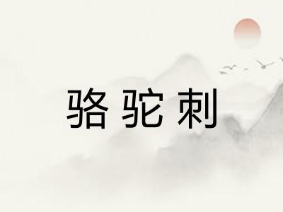 骆驼刺 骆驼刺
