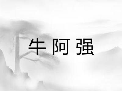 牛阿强 牛阿强