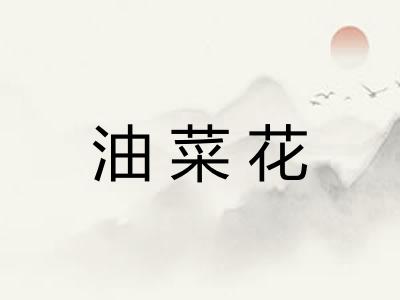 油菜花 油菜花
