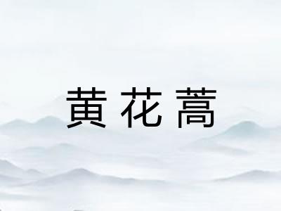 黄花蒿 黄花蒿