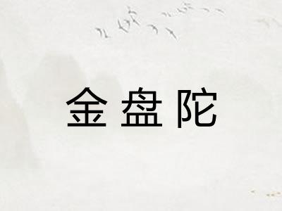 金盘陀