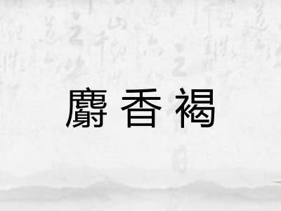 麝香褐