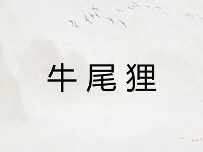 牛尾狸 牛尾狸