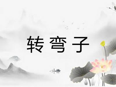 转弯子 转弯子