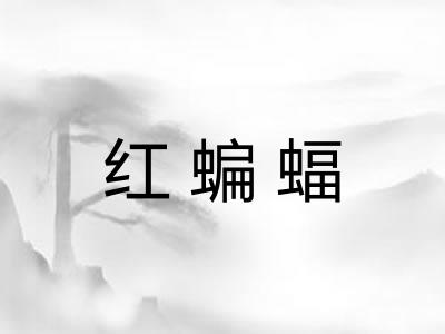 红蝙蝠 红蝙蝠