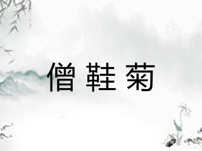 僧鞋菊 僧鞋菊