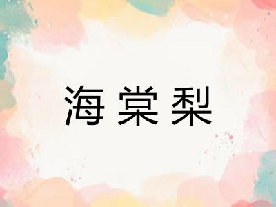 海棠梨 海棠梨