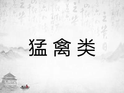 猛禽类 猛禽类