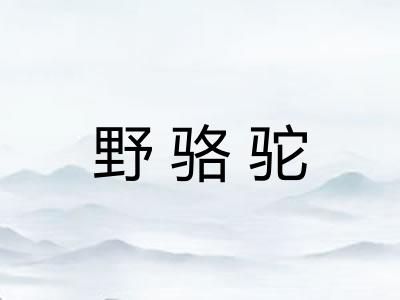 野骆驼 野骆驼