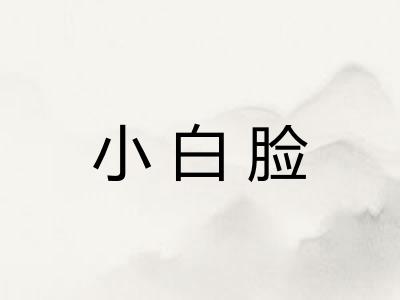 小白脸