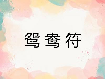 鸳鸯符 鸳鸯符