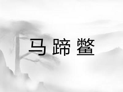 马蹄鳖 马蹄鳖