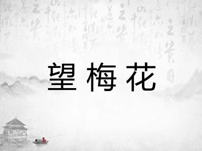 望梅花 望梅花