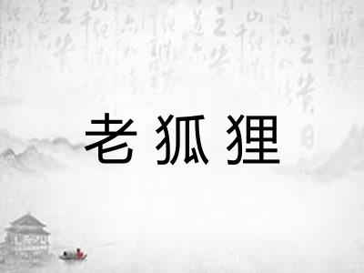 老狐狸 老狐狸
