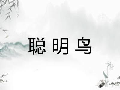 聪明鸟 聪明鸟