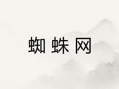 蜘蛛网 蜘蛛网