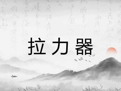 拉力器 拉力器