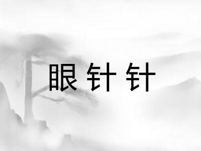 眼针针 眼针针