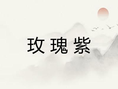 玫瑰紫 玫瑰紫